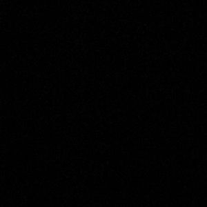 Meet your Posher, Izzy